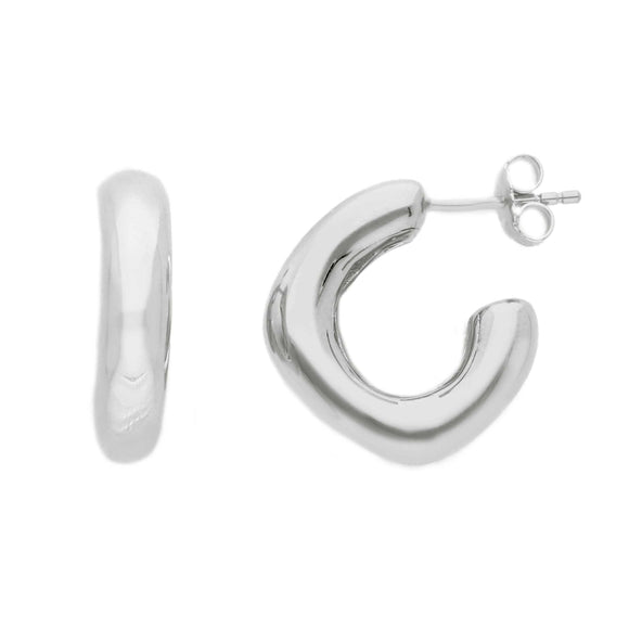 277073 Orecchini Argento 925